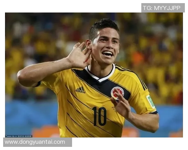 荷兰足球球星的传奇之路从青涩少年到世界舞台的闪耀明星