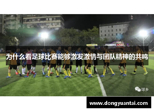 为什么看足球比赛能够激发激情与团队精神的共鸣